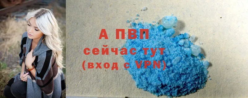 кракен как войти  магазин    Апшеронск  Альфа ПВП СК КРИС 